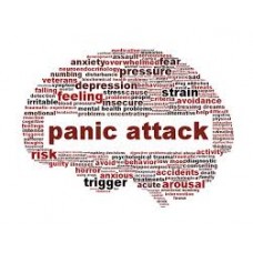 On-Line Therapy Programme for Panic Attack